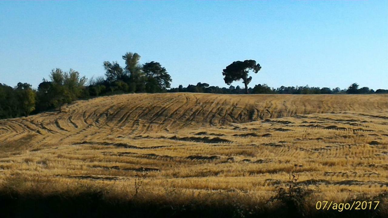 Affittacamere Da Laura Silvi Orvieto Exterior foto